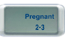Pregnant 2-3（懷孕 2-3 週）